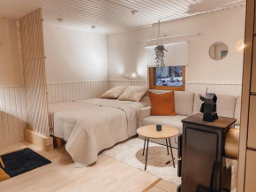 Cottage Arctica with a Sauna in Rovaniemi